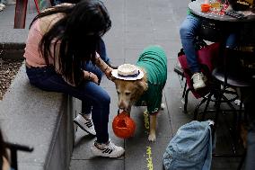 Daily Life In Mexico City