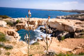 Travel Destination: Cyprus