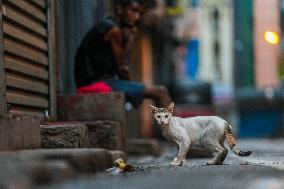 Daily Life In Colombo