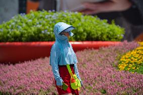 Tourists travel in high temperatures in Chongqing