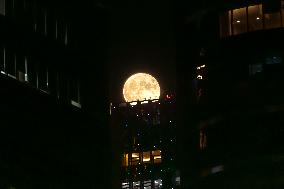The Super Blue Moon, Seoul, South Korea
