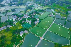 Fish Ponds Crisscrossing in Chongqing