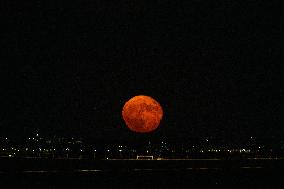 Blue Moon Over Lisbon