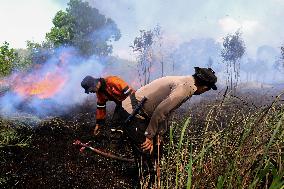 An Area Of   30 Hectares Of Forest And Burnt Land In Ogan Ilir, South Sumatra