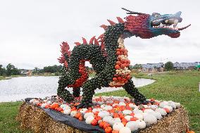 Pumpkin Show At Krewelshof Eifel