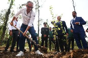 Trees Planted In Monza During F1 Italian Grand Prix 2023