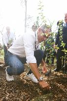Trees Planted In Monza During F1 Italian Grand Prix 2023