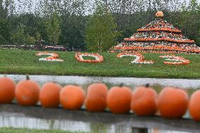 Pumpkin Show At Krewelshof Eifel