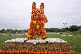 Pumpkin Show At Krewelshof Eifel