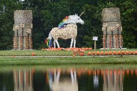 Pumpkin Show At Krewelshof Eifel