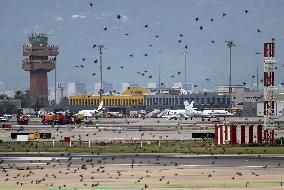 Daily life at Barcelona airport