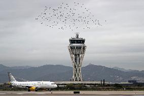 Daily life at Barcelona airport