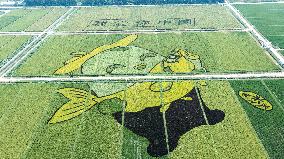 Giant Cartoon Painting Pattern in A Rice Field in Xi 'an