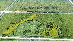 Giant Cartoon Painting Pattern in A Rice Field in Xi 'an