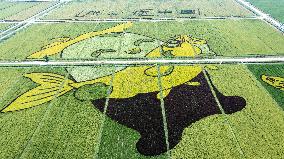 Giant Cartoon Painting Pattern in A Rice Field in Xi 'an