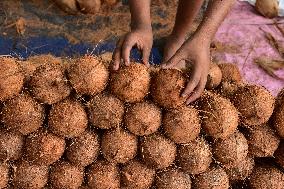 INDIA-ASSAM-COCONUT VENDOR