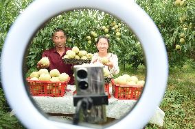 Live Webcast Promote Agriculture in China