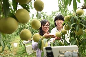 Live Webcast Promote Agriculture in China