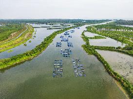 Water Quality Ecological Treatment Project in Hefei