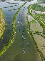 Water Quality Ecological Treatment Project in Hefei