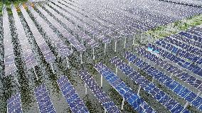 Photovoltaic Power Plant in Liuzhou