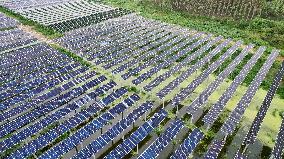 Photovoltaic Power Plant in Liuzhou