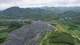 Photovoltaic Power Plant in Liuzhou