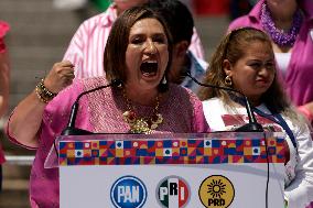 Xochitl Galvez Hailed As Opposition Candidate For 2024 Election - Mexico