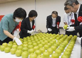 Asian pears as gift for royalty