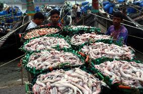 BANGLADESH-CHATTOGRAM-FISH