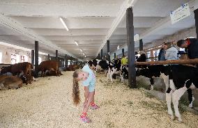 Harvest festival and livestock show