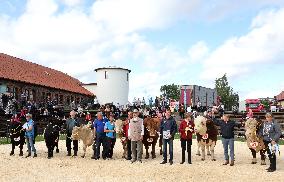 Harvest festival and livestock show