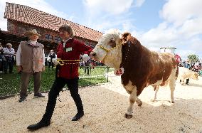 Harvest festival and livestock show