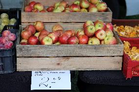 Harvest festival and livestock show