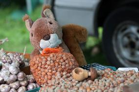 Harvest festival and livestock show