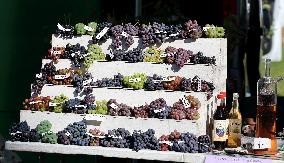 Harvest festival and livestock show