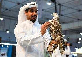 QATAR-DOHA-HUNTING AND FALCONS EXHIBITION