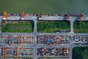 Guoyuan Port Trade Growth in Chongqing