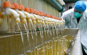 Walnut Industry Chain in Handan