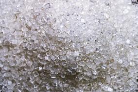 Sugar Crystal