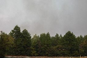 Large Wildfire Tears Through Walker County, Texas