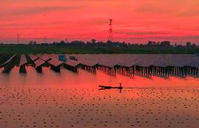 Fishery-solar Hybrid Project in Suqian