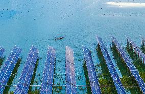 Fishery-solar Hybrid Project in Suqian