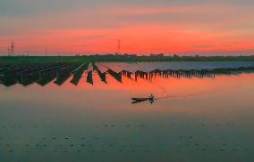 Fishery-solar Hybrid Project in Suqian