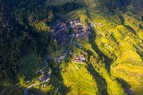 Terraced Fields in Congjiang