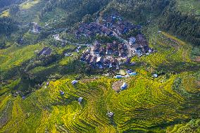 Terraced Fields in Congjiang