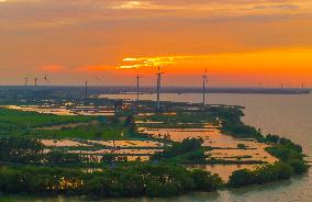 Wind Turbines Along The Coast in Suqian