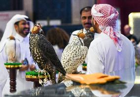 7th Katara International Hunting And Falcons Exhibition