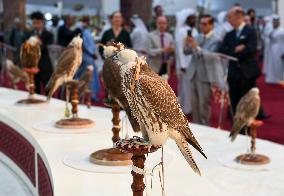 7th Katara International Hunting And Falcons Exhibition