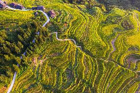 Winding Country Road in Congjiang